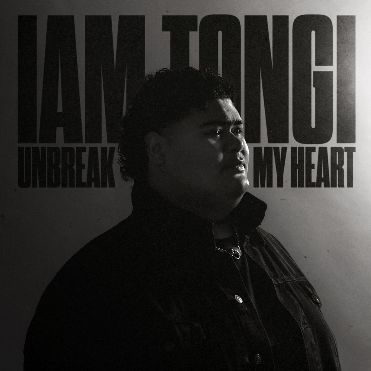 Unbreak My Heart Cover